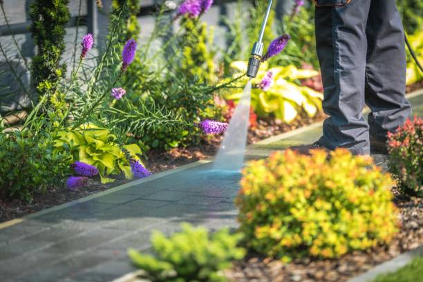 Professional Pressure Washing Services in Attleboro, MA